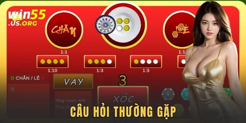 Câu hỏi thường gặp