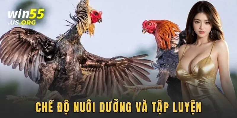 Chế độ nuôi dưỡng và tập luyện