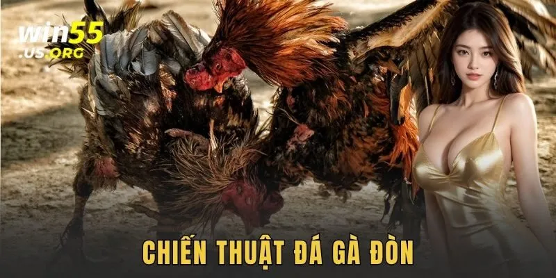Chiến thuật đá gà đòn