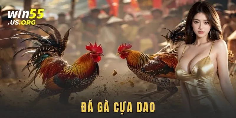 Đá gà cựa dao kịch trần: Hướng dẫn chiến thắng anh em