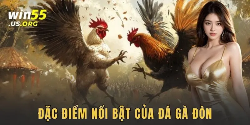 Đặc điểm nổi bật của đá gà đòn